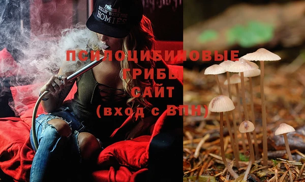 mix Абаза