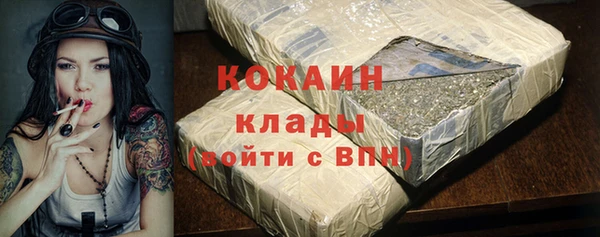 прущие грибы Покров